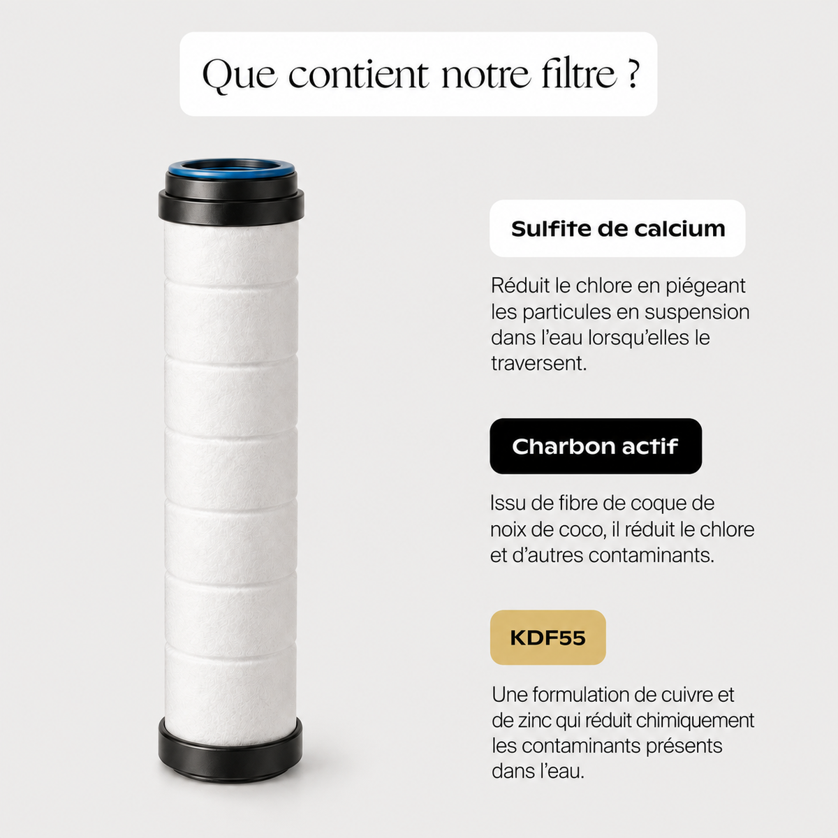 Pommeau de Douche Filtrant